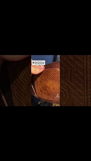 The Mick Foley Belt? #shorts