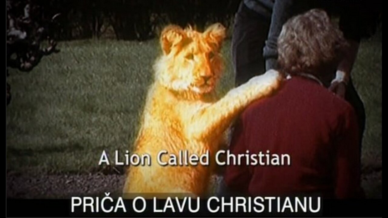 Prica o lavu Christianu, dokumentarni film