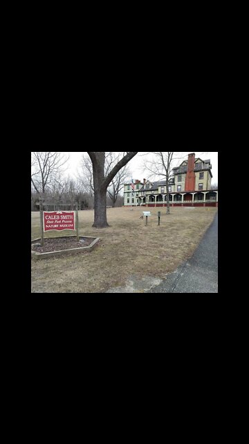 Slow Mo Stream and Bridge Walk