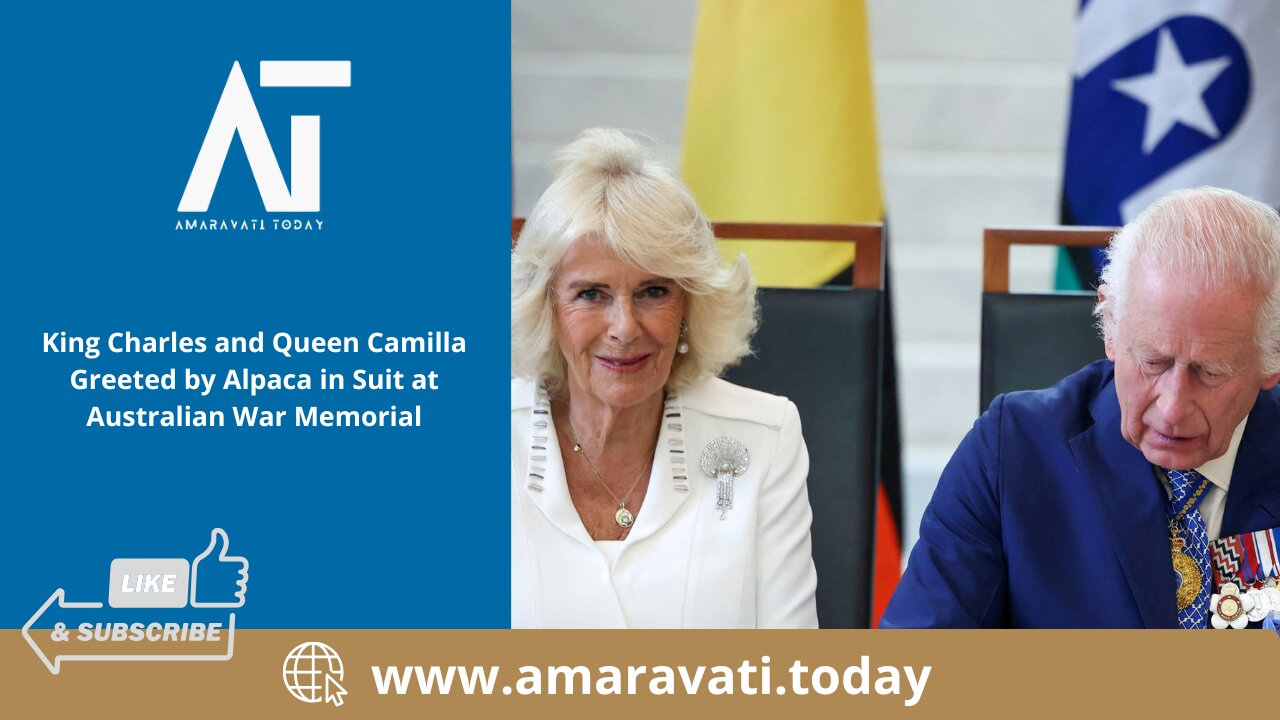 King Charles and Queen Camilla Greeted by Alpaca in Suit at Australian War Memorial| Amaravati Today