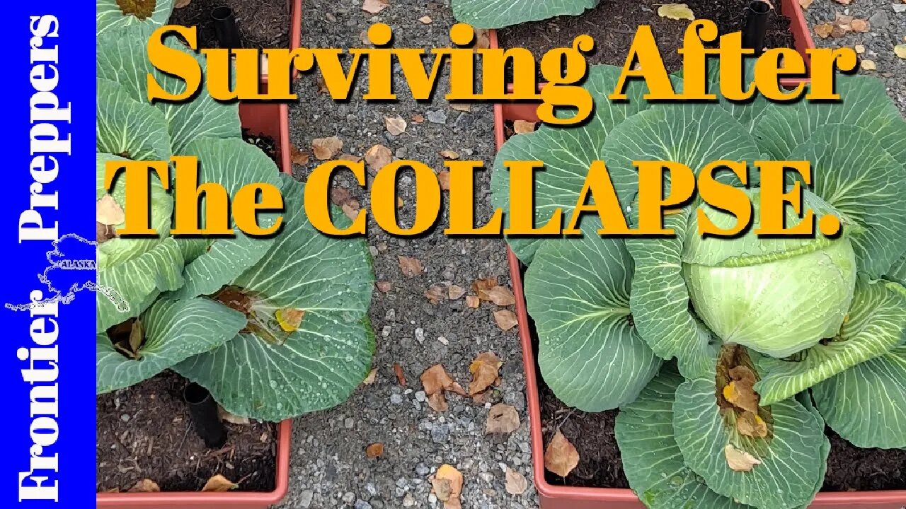 Surviving After The COLLAPSE.