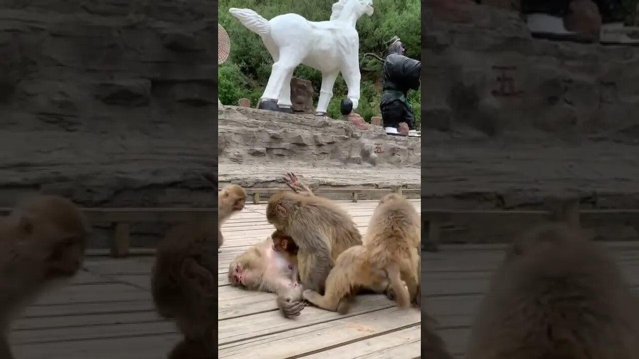 amazing video 😍😍😍 | amazing views video 😳😳 | natural amazing video ❤ whatsapp comedy #shorts