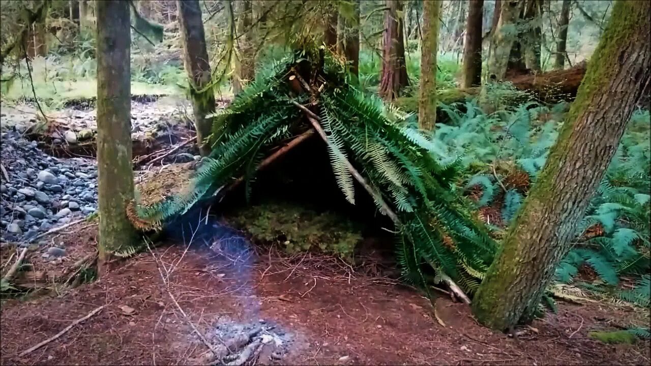 Solo Survival Vancouver Island Compilation