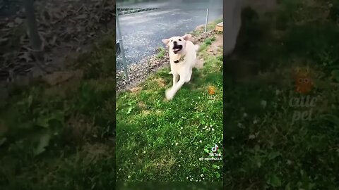 Shout out to @Just_Me_Sue and @kristen.r,,you guys have amazing talents💜 #misfits ​⁠