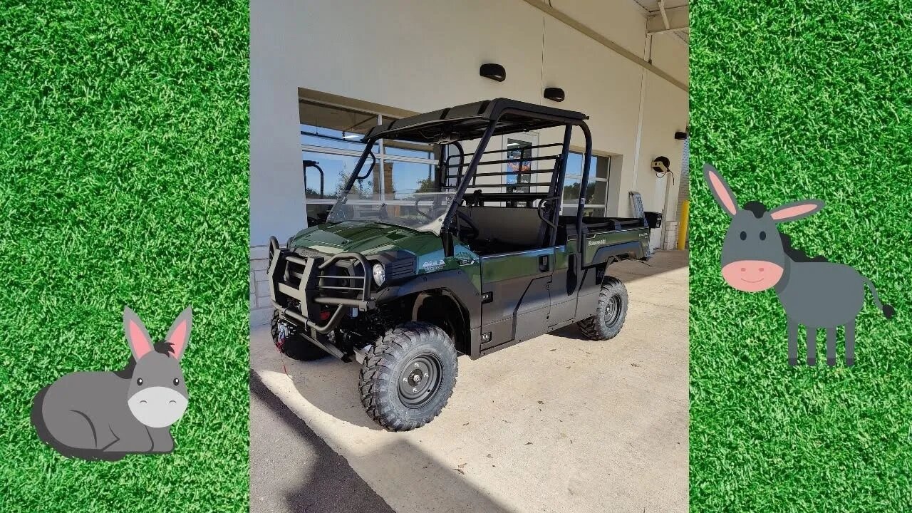 KAWASAKI MULE PRO DX