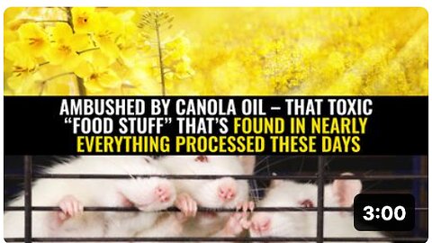 Canola oil – that toxic “food stuff” that’s found in nearly everything processed these days
