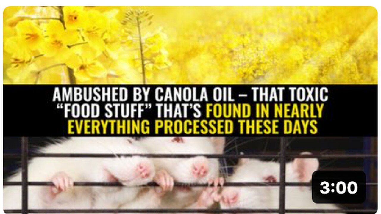 Canola oil – that toxic “food stuff” that’s found in nearly everything processed these days