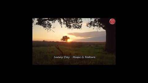 Relaxing music with piano and jungle sound (Preview)