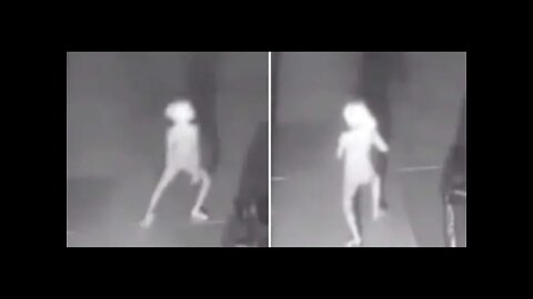 Security Camera Captures Strange Elf Like Creature Paranormal News