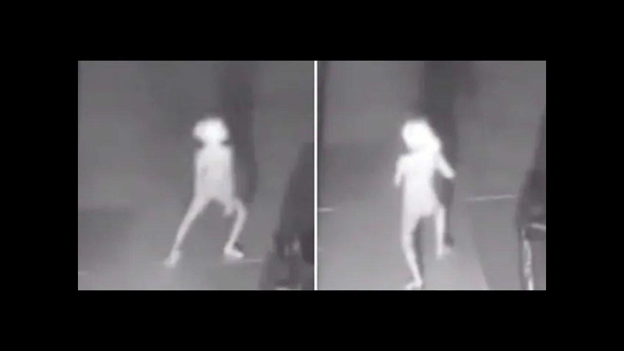 Security Camera Captures Strange Elf Like Creature Paranormal News