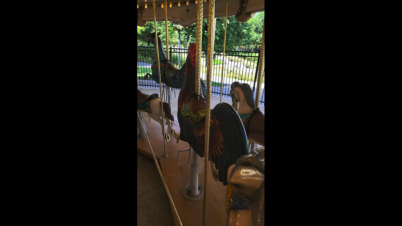 I rode a horse on the carousel but think maybe I should have opted for the chicken