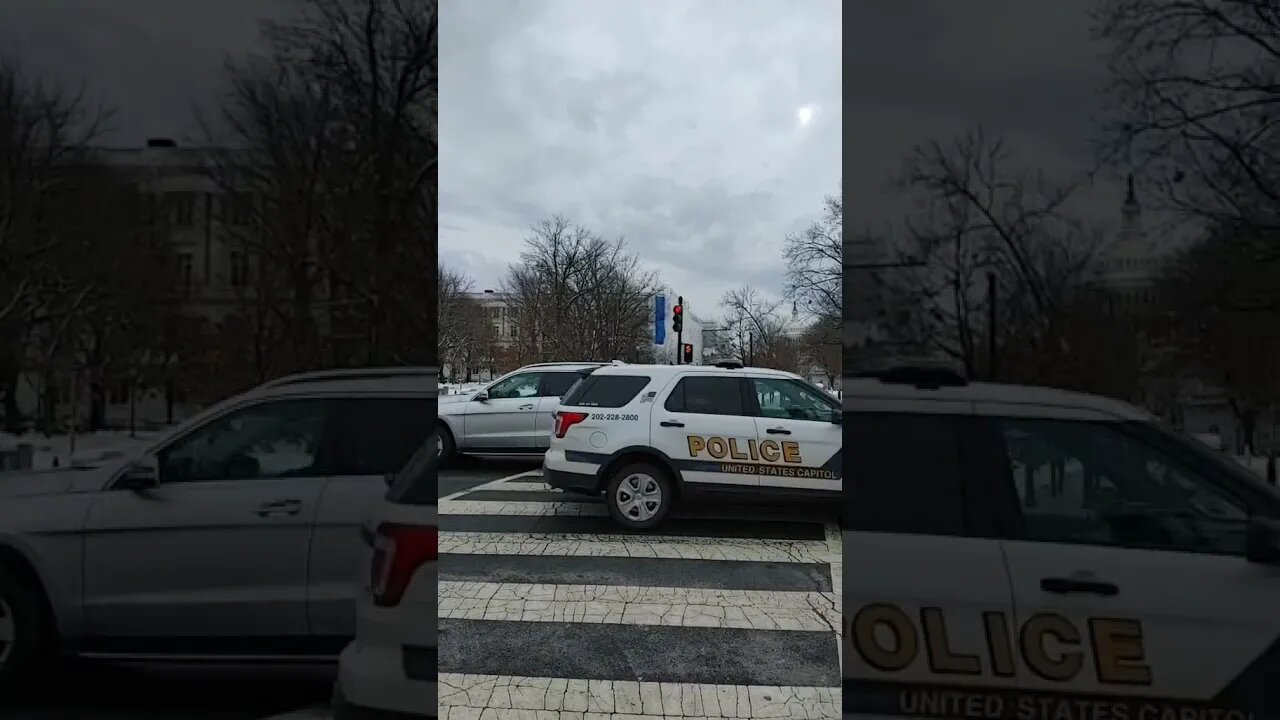 1/5/22 Nancy Drew in DC- VIDEO 3- First day back in the New Year-Frozen Tundra of DC