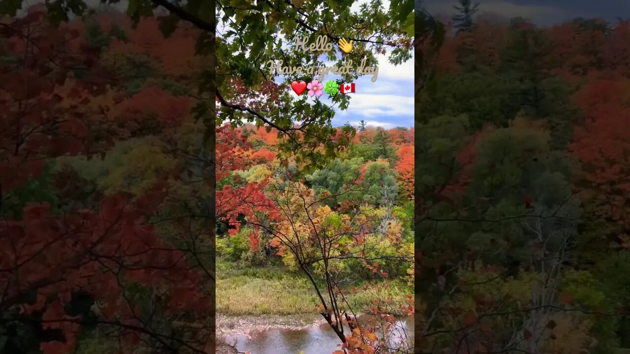 Fall colours dancing to polka music | Lions Valley Park | Sixteen Mile Creek