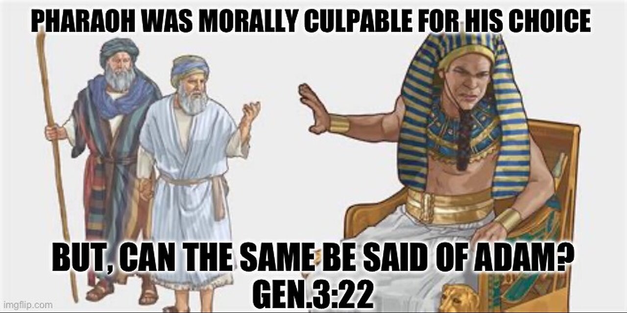 WHO IS MORALLY CULPABLE BEFORE GOD- Acts17:30,31
