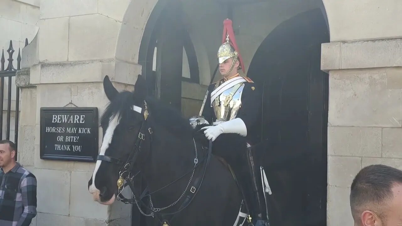 No flags they scare horse's #horseguardsparade