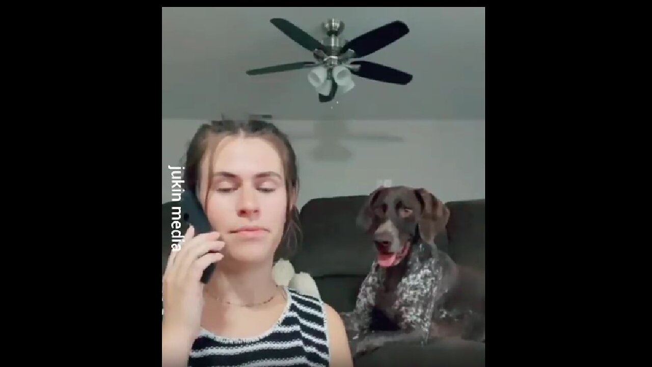 Look how the dog reacts