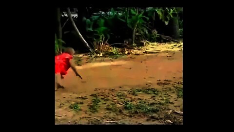 Macaquinho jogando capoeira com galo