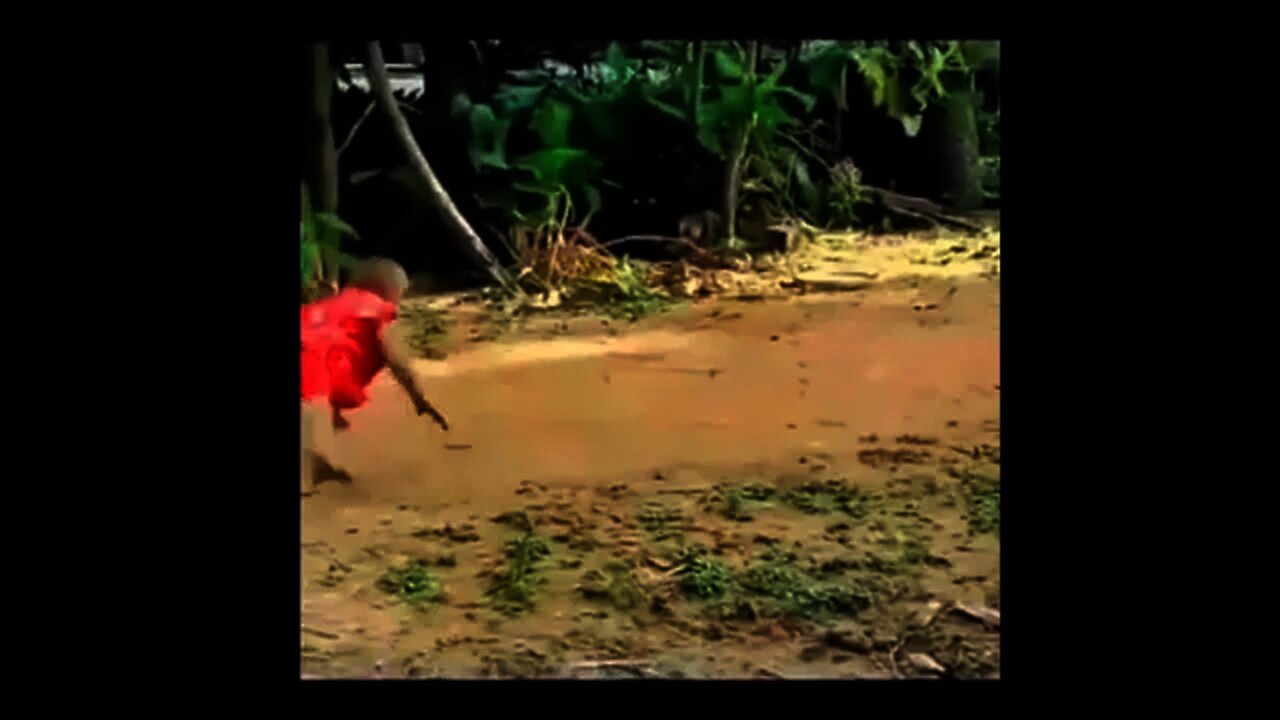 Macaquinho jogando capoeira com galo