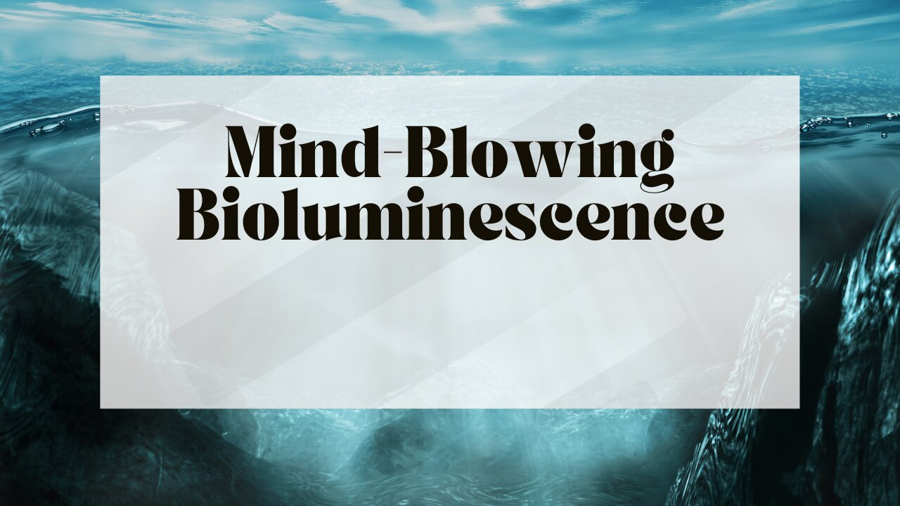 Mind-Blowing Bioluminescence