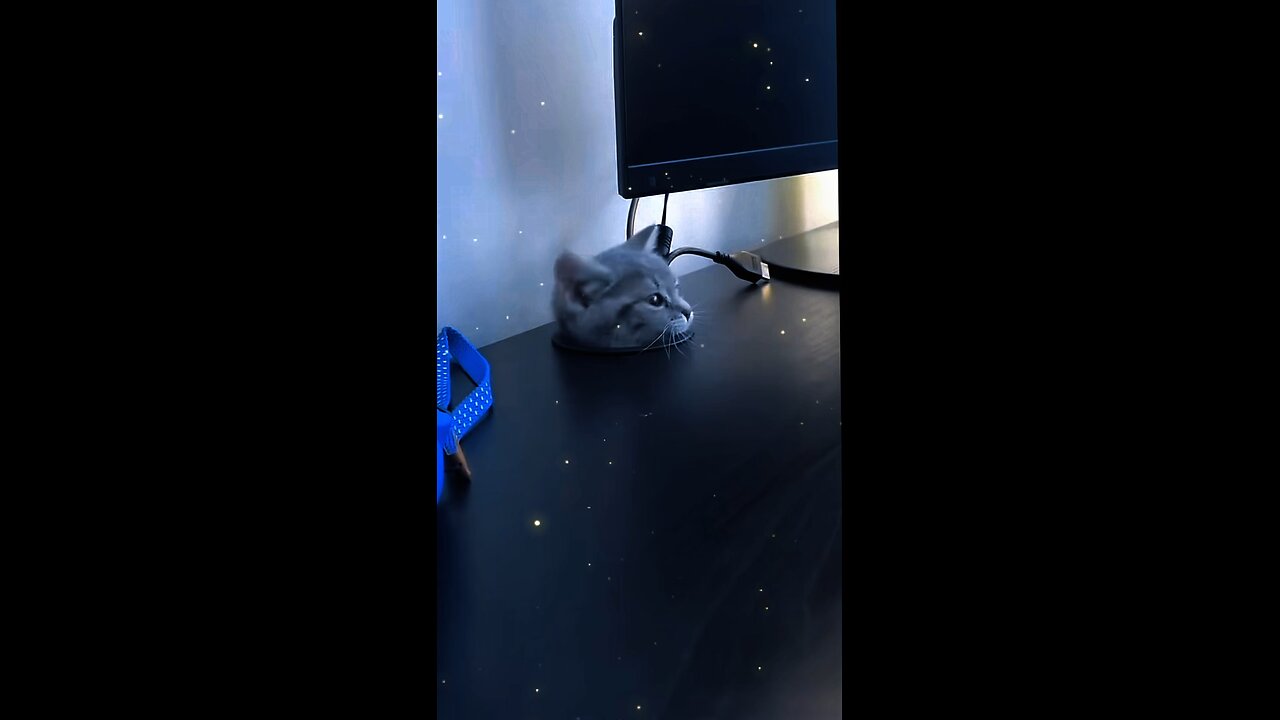 she got stuckš³