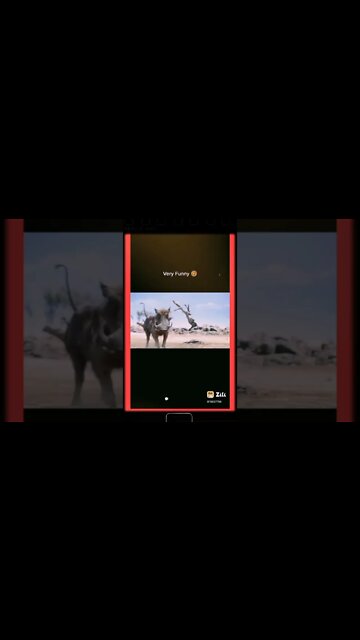 Lion 🦁 vs dog 🐶, animal funny video, #shorts #short #amazing