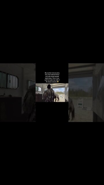 Teaching A Horse To Trailer Load