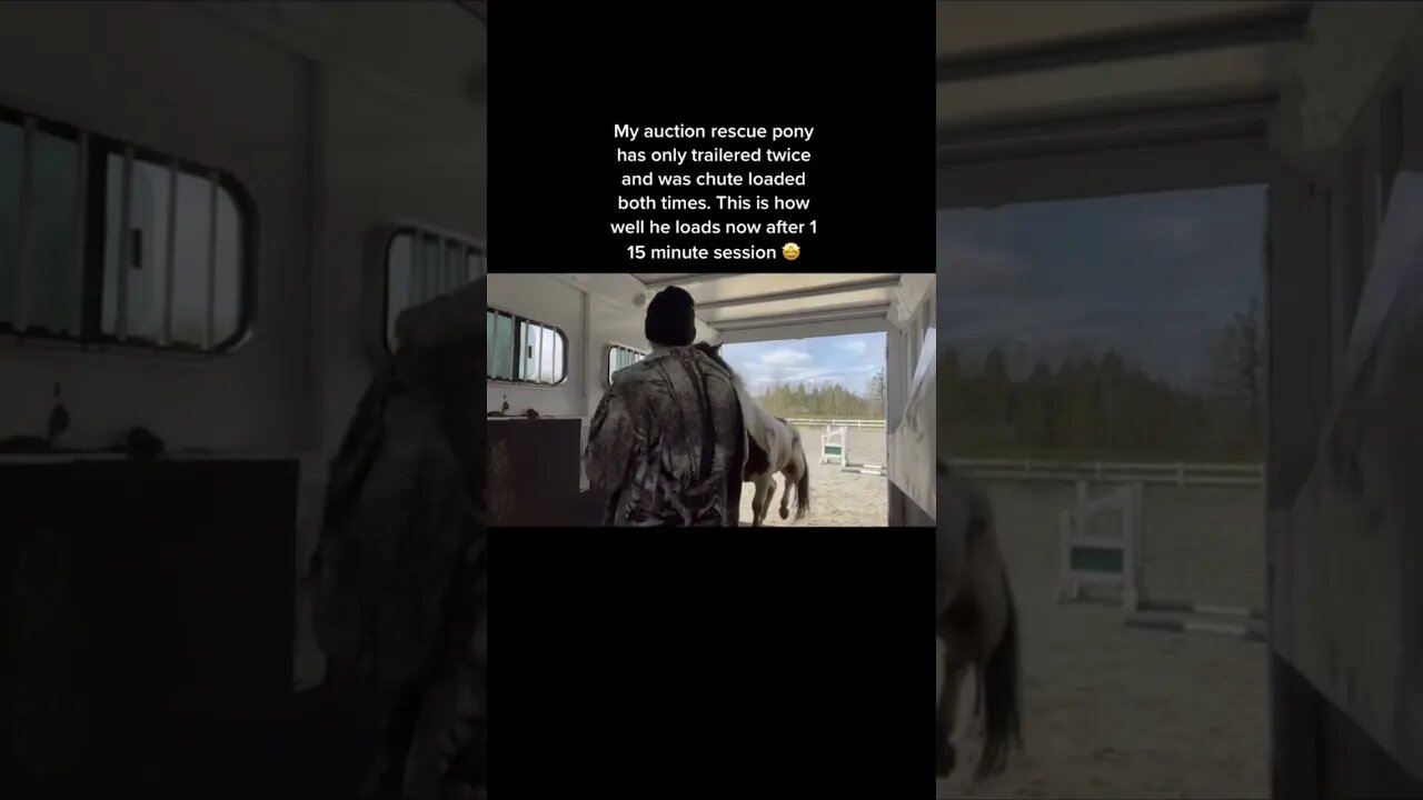 Teaching A Horse To Trailer Load