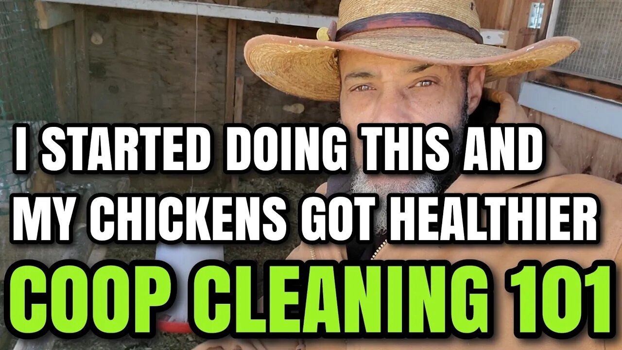 These CHICKEN COOP CLEANING TIPS will lead to a HEALTHIER FLOCK