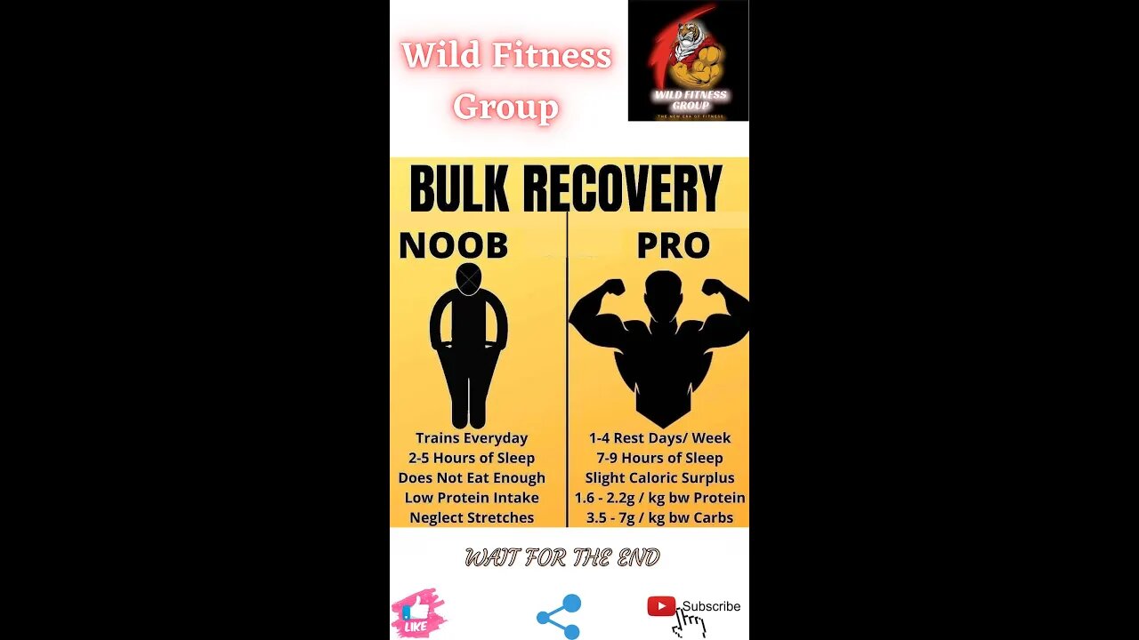 🔥Bulk recovery: noob v/s pro🔥#shorts🔥#viralshorts🔥#fitnessshorts🔥#wildfitnessgroup🔥