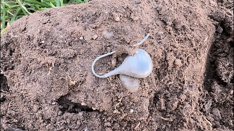 Silver In The Hole Metal Detecting