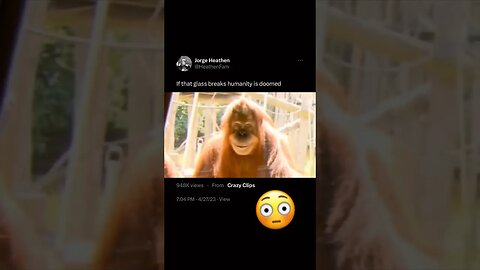 FREE THEM 🤧 #youtube #shorts #trending #animals #zoo