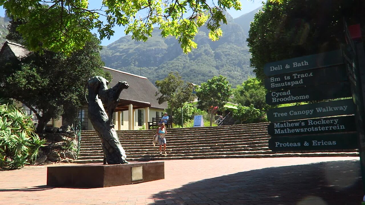 SOUTH AFRICA - Cape Town - Kirstenbosch National Botanical Garden (Video) (bm8)