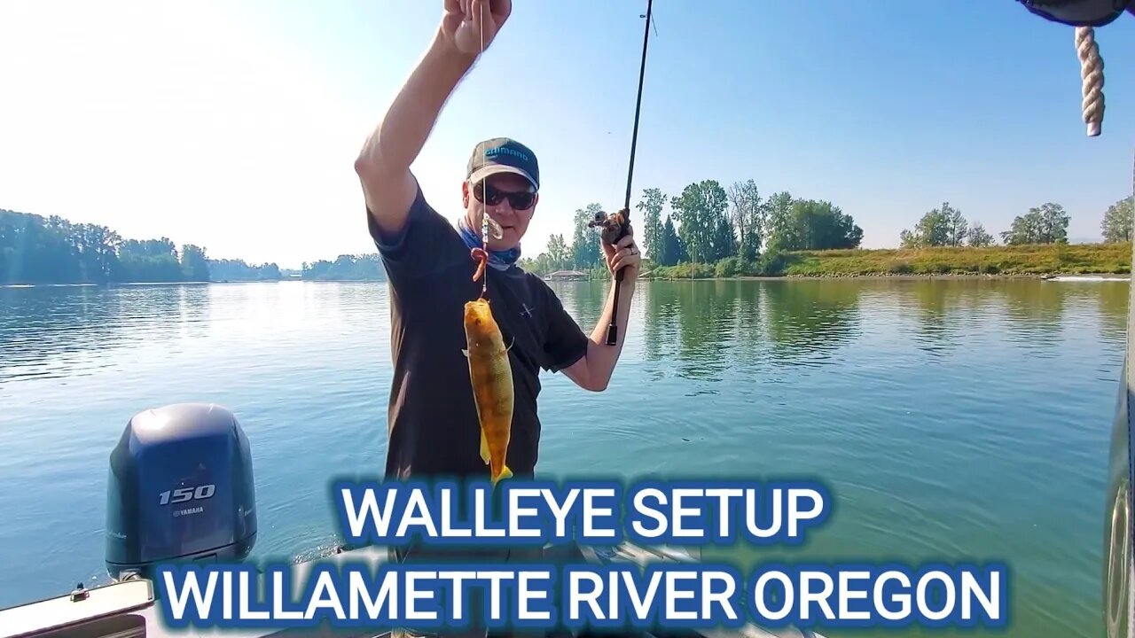 WALLEYE SETUP WILLAMETTE RIVER, OREGON *BASS AND PERCH