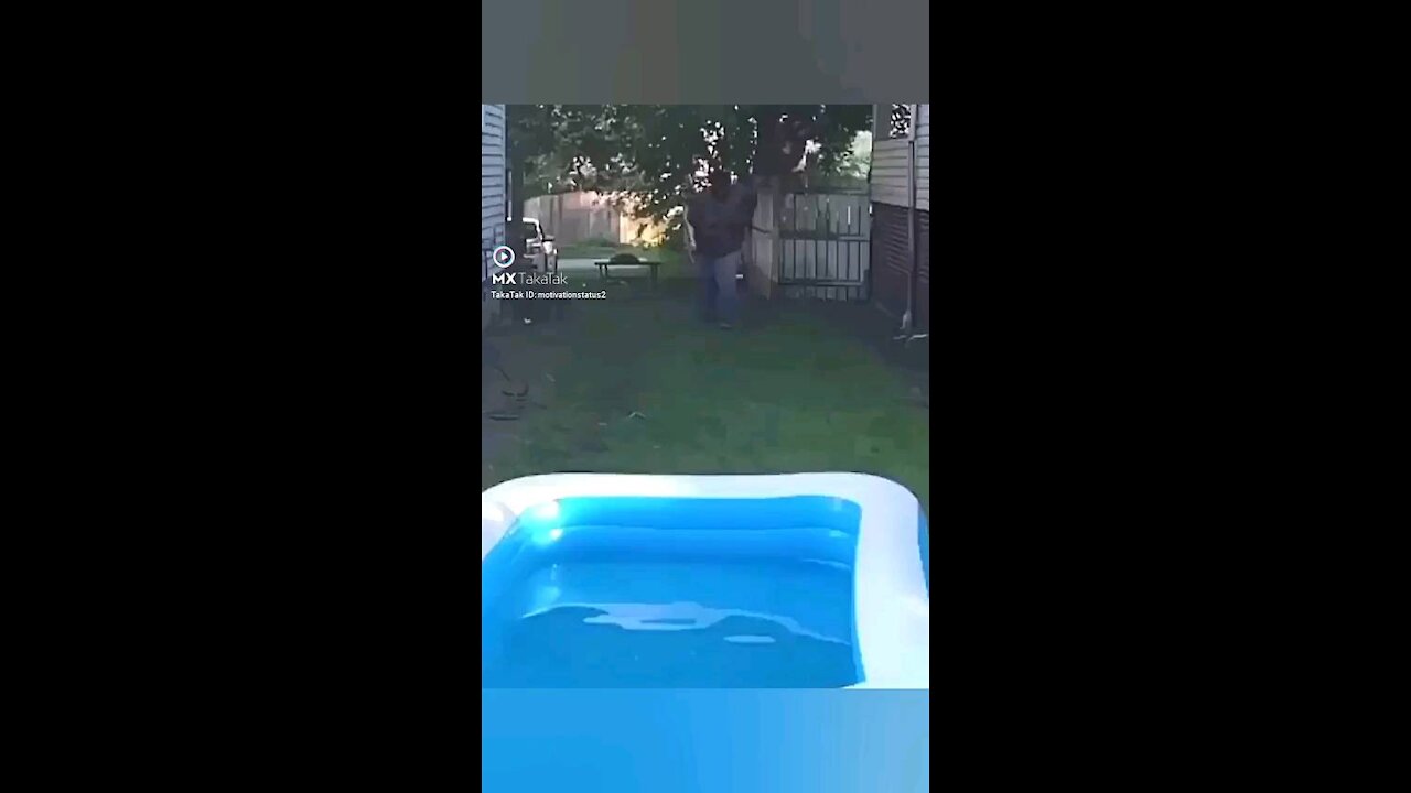 Funny videos entertainment and comedy videos