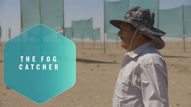 The miracle mist: How to make water out of thin air