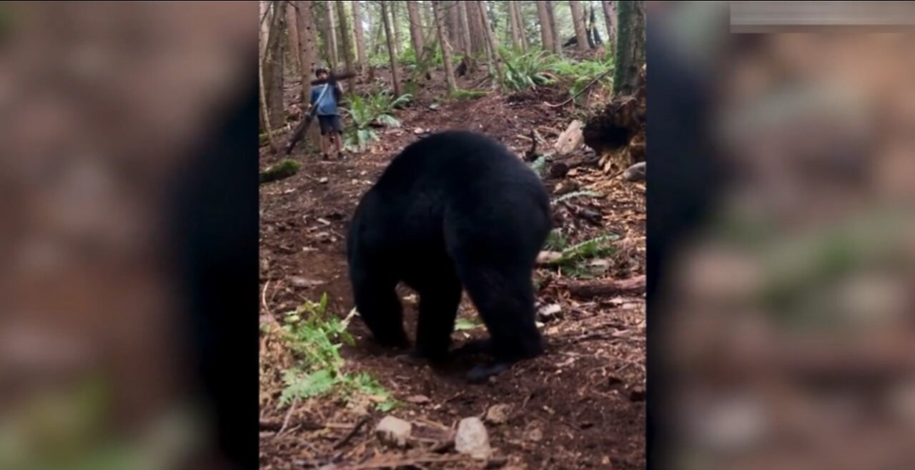 Man defends off a bear - scary incident