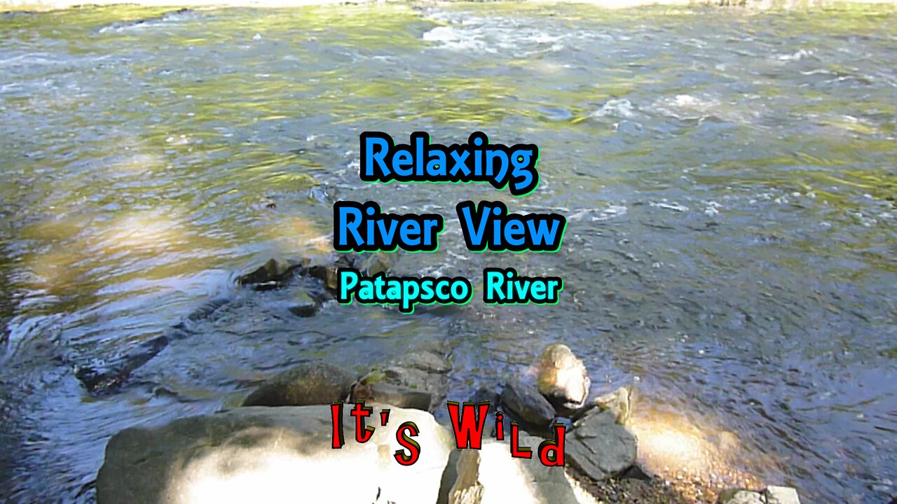 Relaxing River View