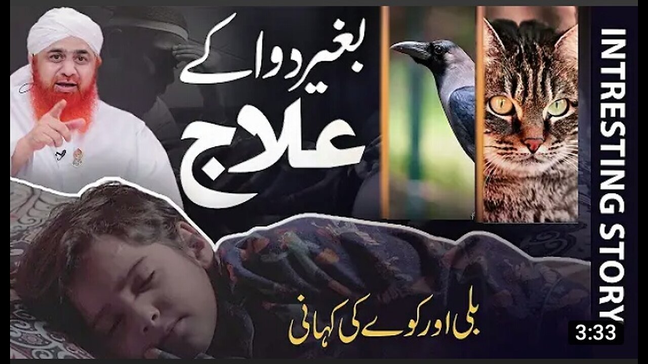 Billi Or Kala Kawwa | Sadqa Or Bimari | Bimari Ka Ilaj | Cat & Crow fight | Motivational Story