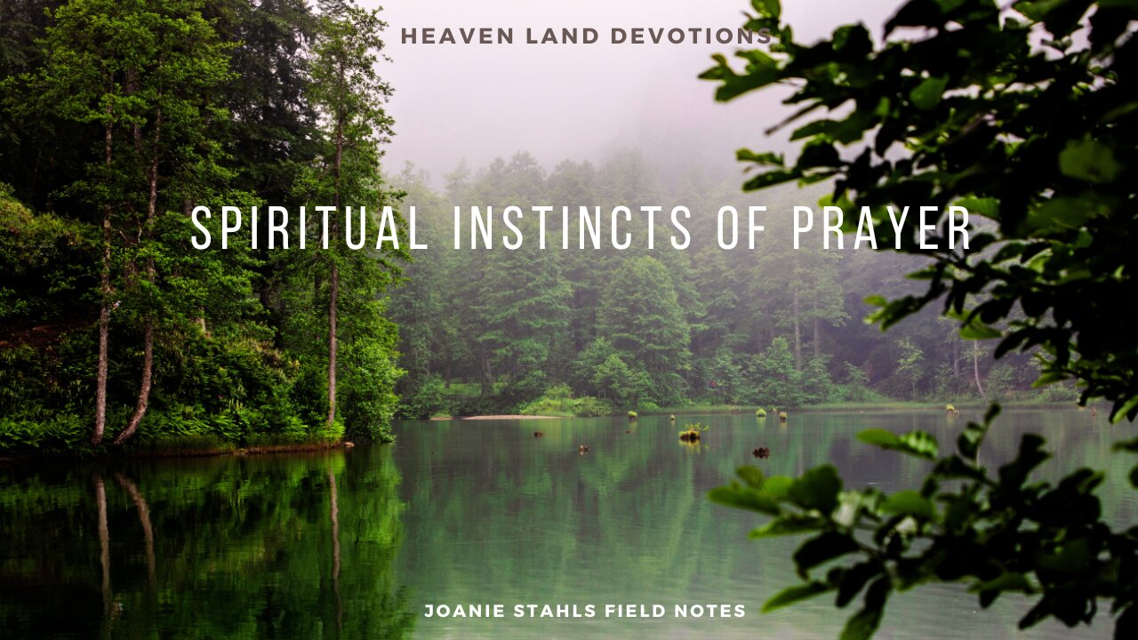 Heaven Land Devotions - Spiritual Instincts of Prayer