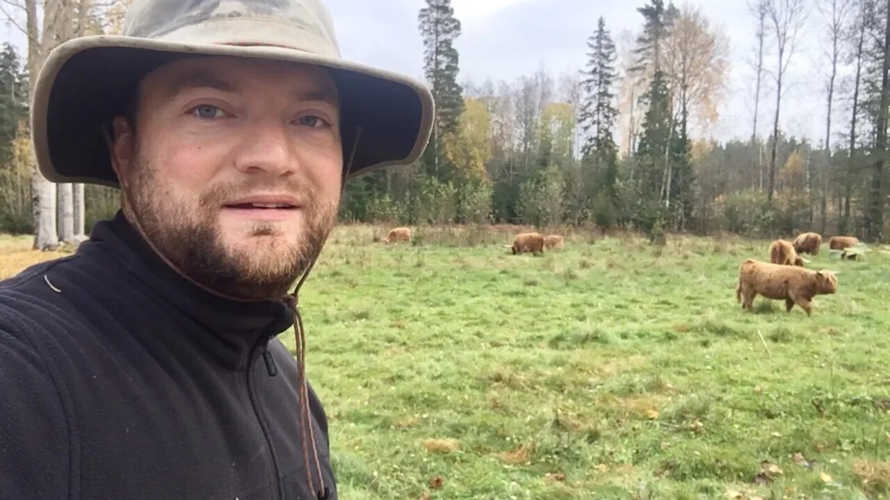 Double The Animals But Half The Hay