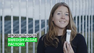Héroes ecológicos: Cultivadores de algas