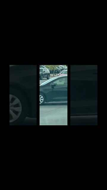 Go ducks go!! #shorts