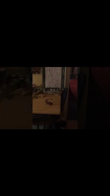 8 - Pip and Maggie - some sussing out .. 25th August 23