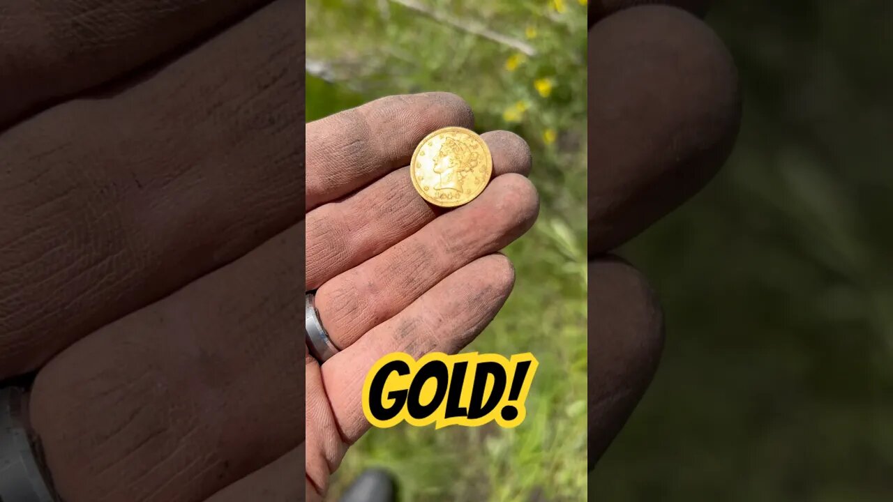 $5 GOLD COIN FOUND #metaldetecting #goldcoin