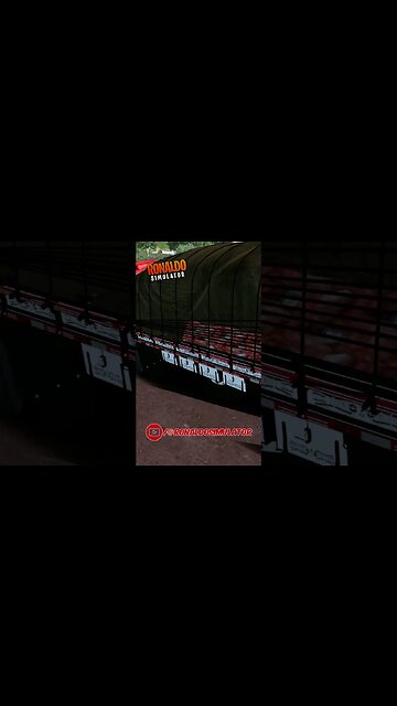 O tempo todo! ✨🙏🏻❤️‍🔥 #shorts #chofer #chofer