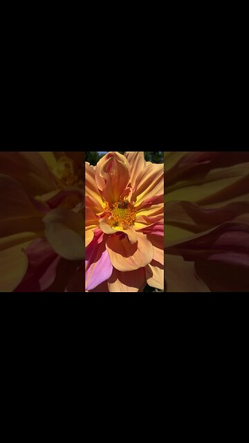 Busy bee business 🐝🐝🐝