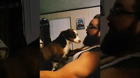 Puppy Loves Singing With Her Dad! #shorts #animals #funnydogvideos