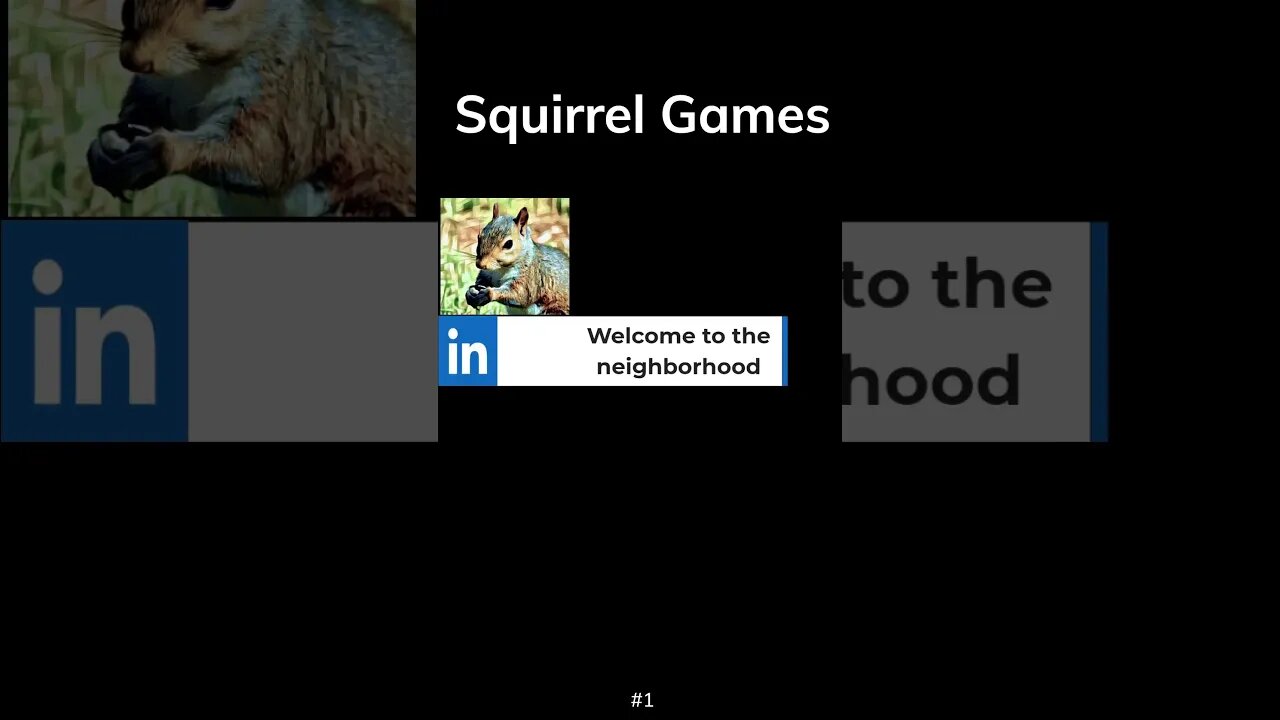 The Epic Rivalry Behind the Squirrel Games: Unveiling the Story behind the Story! #shorts