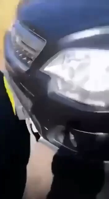 Woke Karen takes her car out while harassing protesters