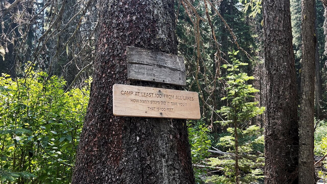 Eagle Cap Wilderness Teaches You With Tree Signs How Far is 100 FT? | Two Pan | Wallowa-Whitman | 4K